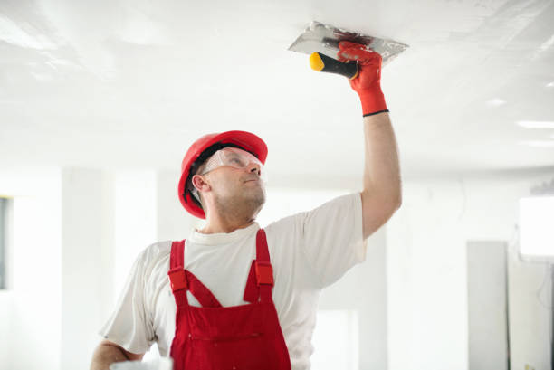 Best Drywall Installation  in Fort Deposit, AL